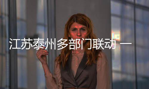 江蘇泰州多部門聯(lián)動 一企一策助力臺企轉(zhuǎn)型