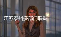 江蘇泰州多部門聯動 一企一策助力臺企轉型