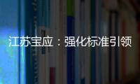 江蘇寶應：強化標準引領 助推曹甸教玩具企業高質量發展