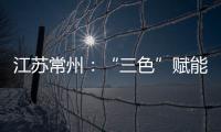 江蘇常州：“三色”賦能 描繪美麗鄉村放心消費創建新畫卷