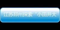 江蘇邳州探索“小田并大田” 鄉村振興增添“活水源泉”