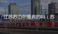 江蘇蘇泊爾是真的嗎（蘇泊爾 不合格）