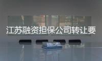 江蘇融資擔保公司轉讓要求