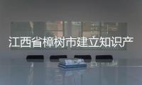 江西省樟樹市建立知識產(chǎn)權(quán)行政調(diào)解+司法確認機制