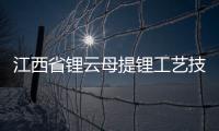 江西省鋰云母提鋰工藝技術(shù)獲重大突破
