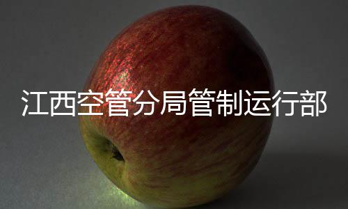 江西空管分局管制運(yùn)行部團(tuán)組織圓滿完成換屆工作