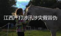 江西嚴打涉汛涉災假冒偽劣商品違法犯罪等行為