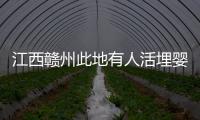 江西贛州此地有人活埋嬰兒？警方通報：謠言，發帖人被拘留十日