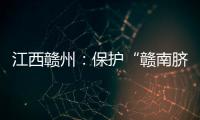 江西贛州：保護(hù)“贛南臍橙”地理標(biāo)志商標(biāo)在行動(dòng)