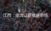 江西：全力以赴推進(jìn)市場監(jiān)管領(lǐng)域塑料污染治理工作