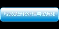 污泥穩定化處理與資源化技術生產性研究