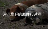 污泥堆肥的原理和過程（污泥堆肥的優點介紹）