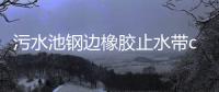 污水池鋼邊橡膠止水帶cb350x10