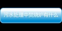 污水處理中焚燒爐有什么作用