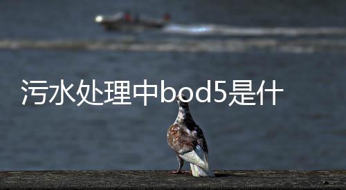 污水處理中bod5是什么意思（BOD5的名詞解釋）