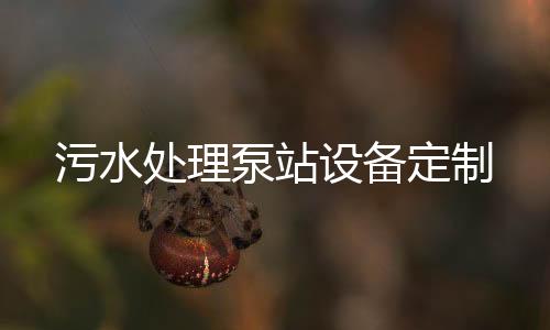 污水處理泵站設備定制