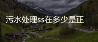 污水處理ss在多少是正常范圍內（一般水體的懸浮物ss是多少）