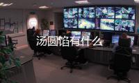 湯圓餡有什么