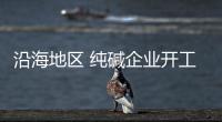 沿海地區 純堿企業開工率上升,行業資訊