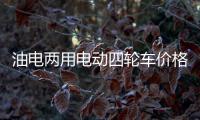 油電兩用電動四輪車價格（一萬以內兩款值得推薦的老年代步小四輪車）