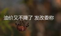 油價又不降了 發改委稱將完善定價機制