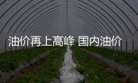 油價再上高峰 國內油價緣何漲多跌少