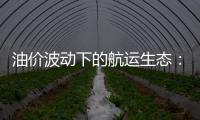 油價波動下的航運生態：船東、供油商雙雙承壓