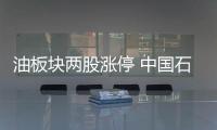 油板塊兩股漲停 中國石化大漲近6%