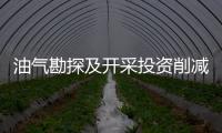 油氣勘探及開采投資削減將沖擊所有石油服務企業