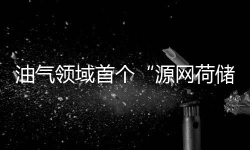 油氣領域首個“源網荷儲”一體化系統建成