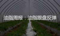 油脂周報：油脂跟盤反彈，庫存壓制反彈空間