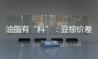 油脂有“料”：豆棕價差走闊，棕櫚油或逐漸拖累豆油價格