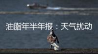 油脂年半年報：天氣擾動增產預期，期價底部抬升