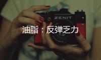 油脂：反彈乏力