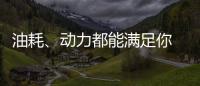 油耗、動力都能滿足你 這兩款SUV很適合家用