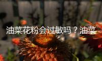 油菜花粉會(huì)過(guò)敏嗎？油菜花粉花粉過(guò)敏能吃嗎？