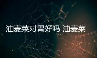 油麥菜對胃好嗎 油麥菜對便秘有好處嗎