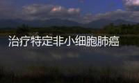 治療特定非小細(xì)胞肺癌 武田創(chuàng)新療法達(dá)到78%疾病控制率