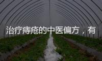 治療痔瘡的中醫偏方，有效緩解疼痛不適