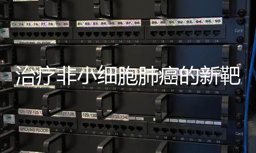 治療非小細(xì)胞肺癌的新靶點(diǎn) 創(chuàng)新組合有望克服KRAS抑制劑耐藥性
