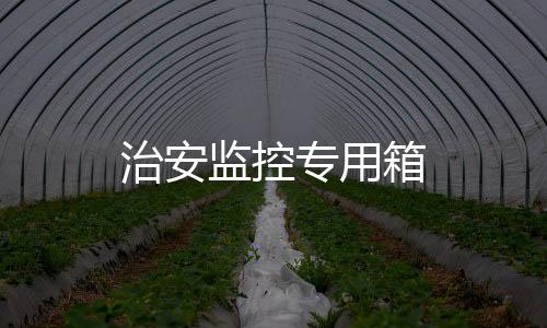 治安監(jiān)控專(zhuān)用箱