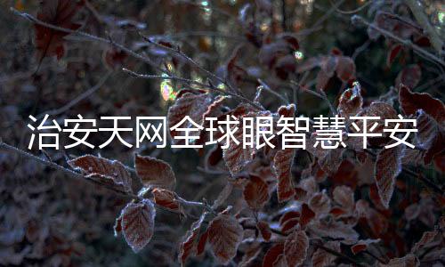 治安天網(wǎng)全球眼智慧平安城市雪亮工程監(jiān)控專用箱