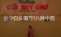 治少白頭偏方?八種中藥食療法讓你白發變黑發