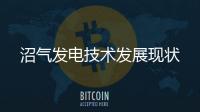 沼氣發電技術發展現狀