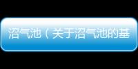 沼氣池（關(guān)于沼氣池的基本情況說(shuō)明介紹）