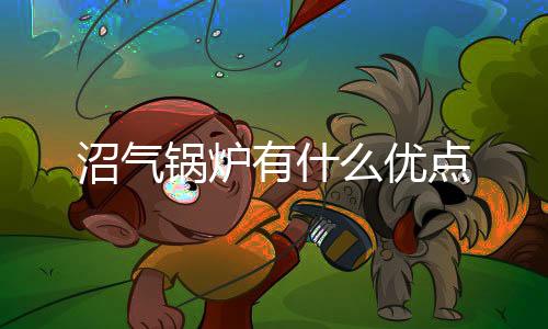 沼氣鍋爐有什么優(yōu)點