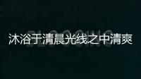 沐浴于清晨光線之中清爽起居室,行業資訊