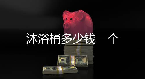 沐浴桶多少錢一個