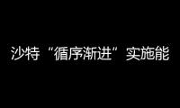 沙特“循序漸進”實施能源轉型