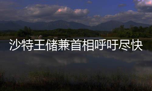沙特王儲兼首相呼吁盡快結束巴以沖突